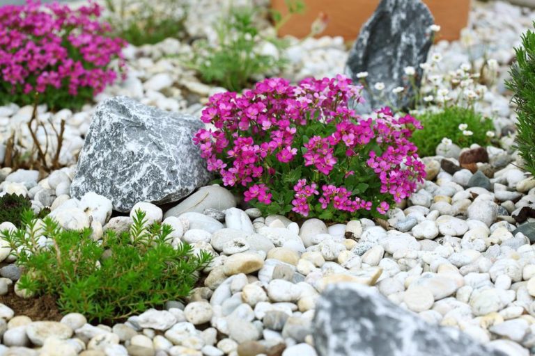 5 Alternative Ideas To Using Traditional Mulch In Your Garden & Flower Beds