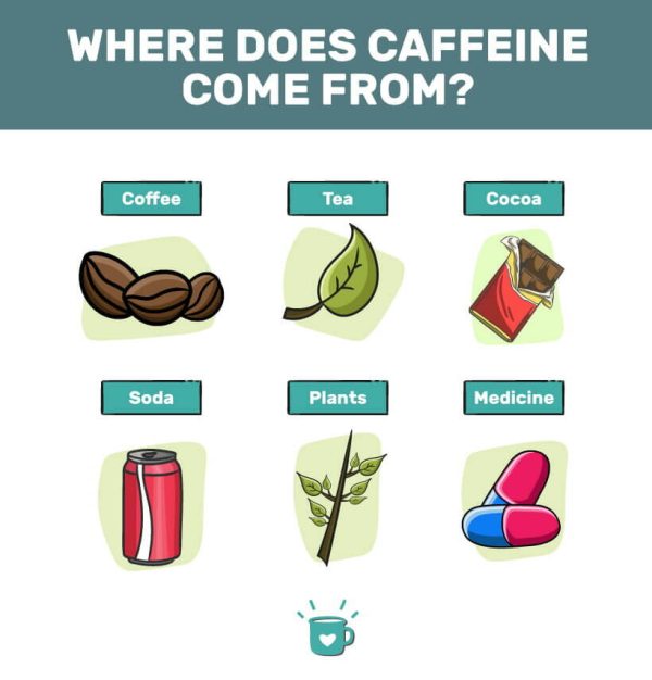 Everything you need to know about Caffeine Its impact on your Health and Lifestyle